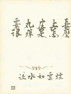 睾丸皮上长疙瘩很痒是怎么回事