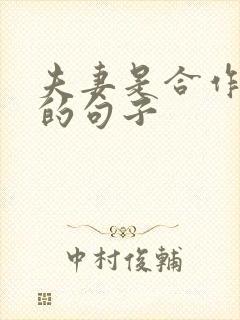 夫妻是合作关系的句子