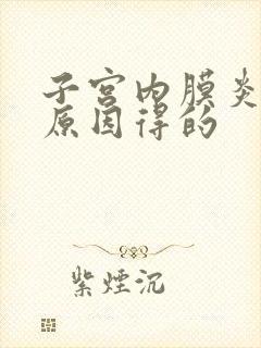 子宫内膜炎什么原因得的