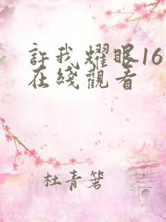 许我耀眼16集在线观看