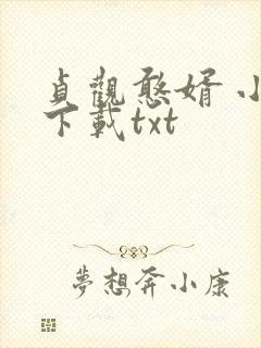 贞观憨婿 小说下载txt