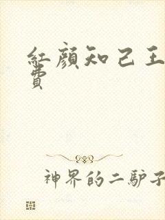 红颜知己王峰免费