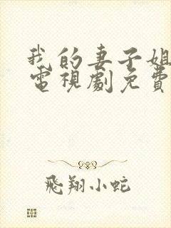 我的妻子姐姐2电视剧免费观看全集