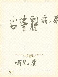 小便刺痛,尿道口有脓