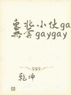 东北小伙gay无套gaygay