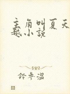 主角叫夏天的穿越小说