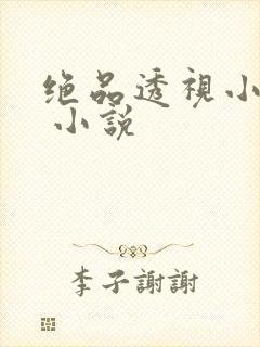 绝品透视小神医 小说