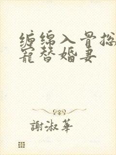 缠绵入骨总裁独宠替婚妻