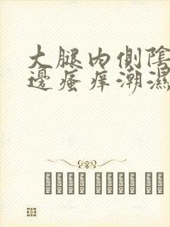 大腿内侧阴囊两边瘙痒潮湿