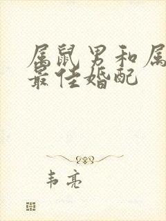 属鼠男和属牛女最佳婚配