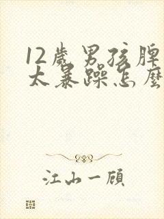 12岁男孩脾气太暴躁怎么办