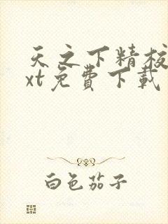 天之下精校版txt免费下载