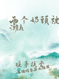 两个奶头被捏高潮h