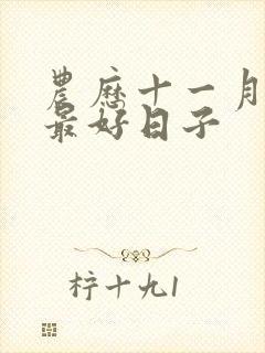 农历十一月结婚最好日子