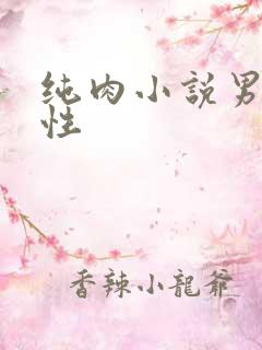 纯肉小说男男双性
