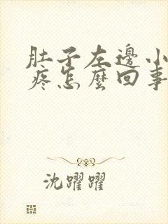 肚子左边小肚子疼怎么回事