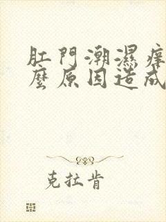 肛门潮湿痒是什么原因造成的