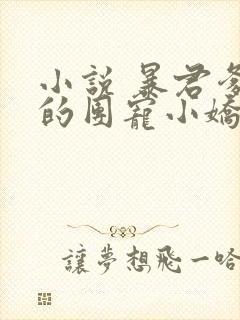 小说 暴君爹爹的团宠小娇包