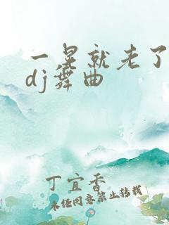 一晃就老了劲爆dj舞曲