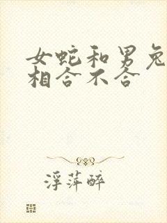 女蛇和男兔子属相合不合