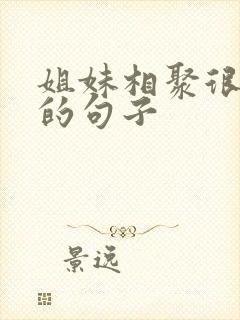 姐妹相聚很开心的句子