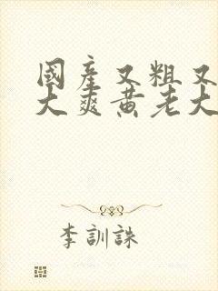 国产又粗又硬又大爽黄老大爷视频