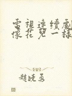 电视连续剧幸福像花儿一样