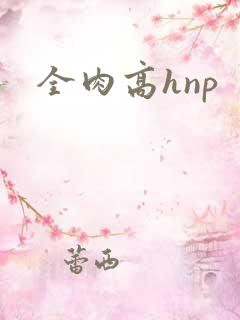 全肉高hnp