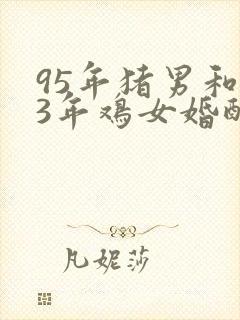 95年猪男和93年鸡女婚配