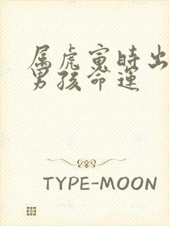 属虎寅时出生的男孩命运