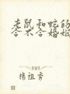 老鼠和蛇的属相合不合婚姻