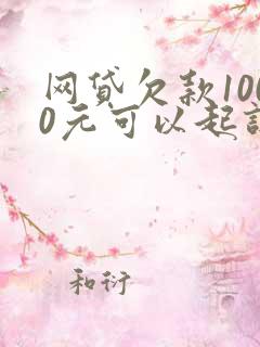 网贷欠款1000元可以起诉吗