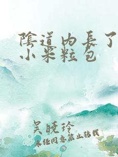 阴道内长了好多小米粒包