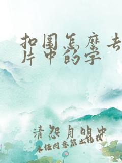 扣图怎么去掉图片中的字