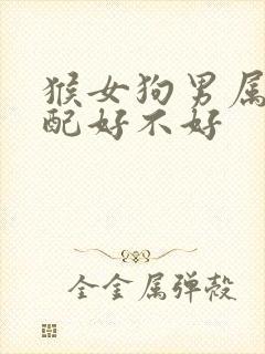 猴女狗男属相婚配好不好