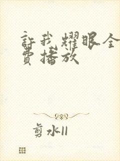 许我耀眼全集免费播放