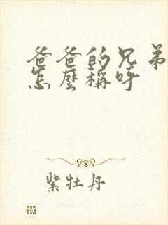 爸爸的兄弟媳妇怎么称呼