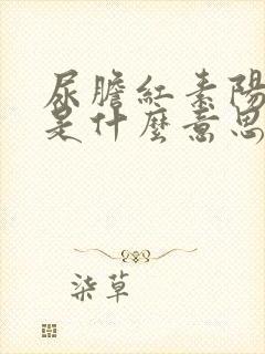 尿胆红素阳性+是什么意思