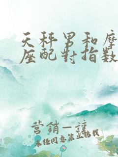 天秤男和摩羯女座配对指数