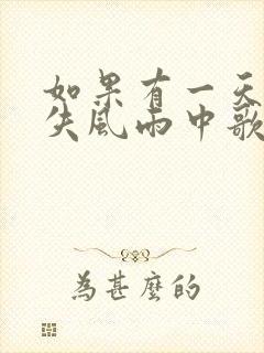 如果有一天我迷失风雨中歌词