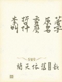 李哲秀原著小说叫什么名字啊