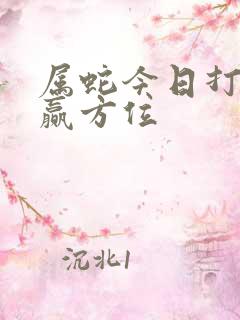 属蛇今日打牌必赢方位