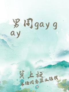 男同gay gay