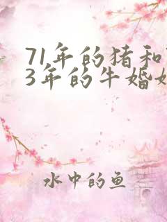 71年的猪和73年的牛婚姻怎么样