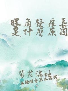 眼角发痒长疙瘩是什么原因