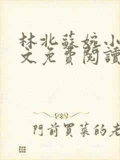 林北苏婉小说全文免费阅读无弹窗