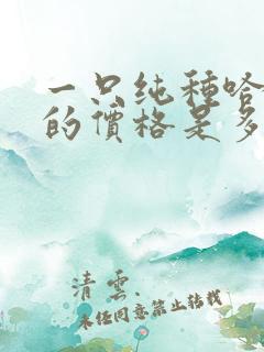 一只纯种哈士奇的价格是多少钱