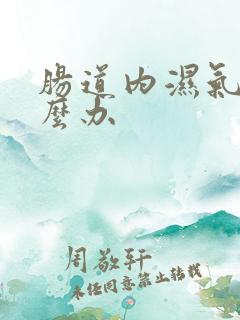 肠道内湿气重怎么办