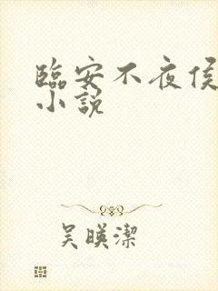 临安不夜侯有声小说
