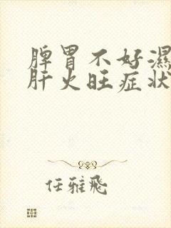 脾胃不好湿气重肝火旺症状